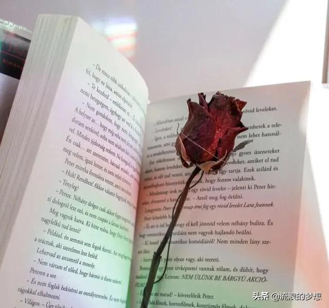 提高规培待遇,不同工种待遇不一样怎么办