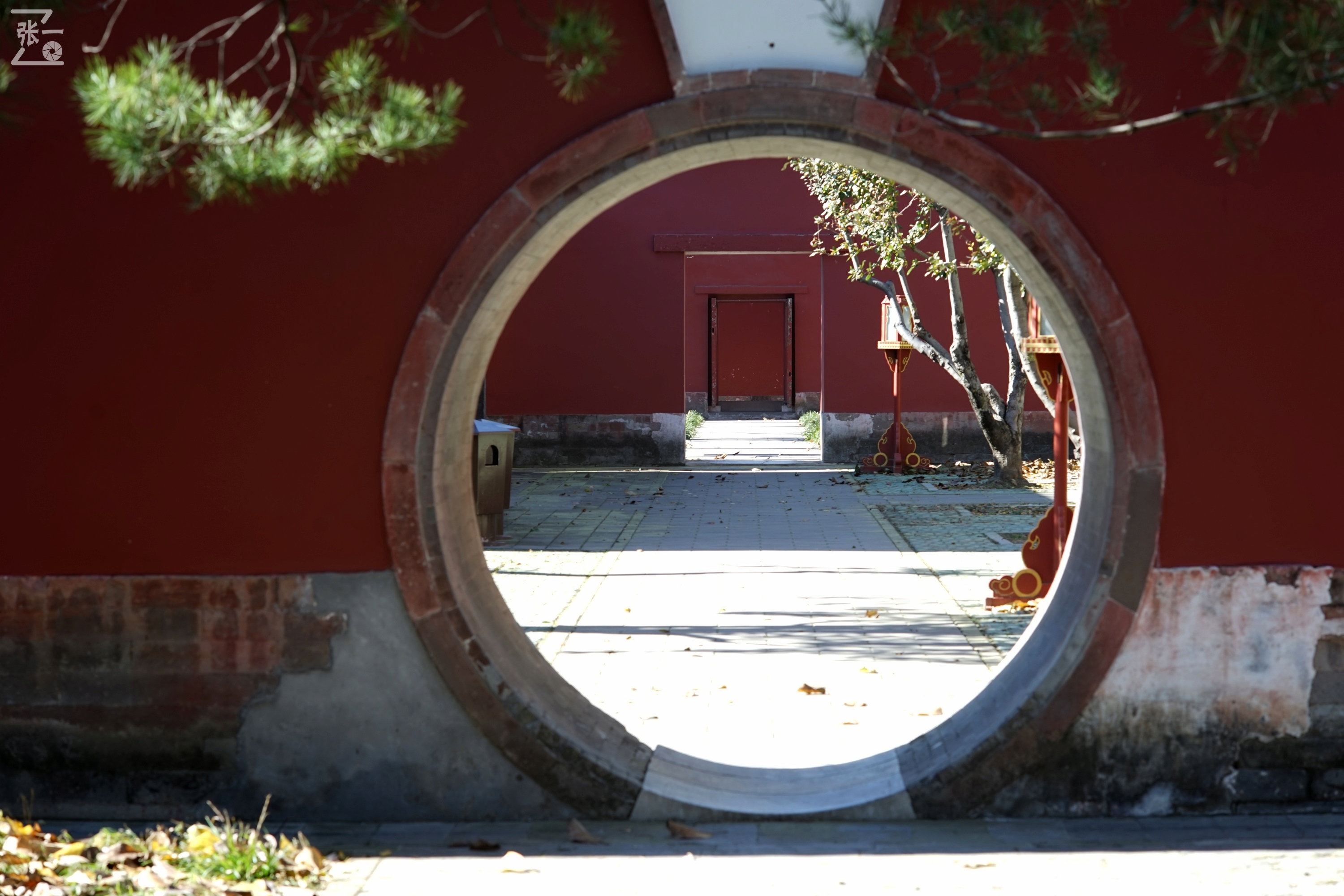 日本老镜头,canon老相机曝光