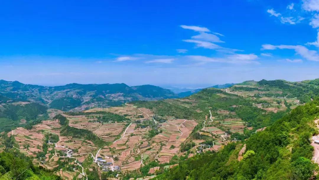 世警会真的来了吗,世警会即将举行完整版