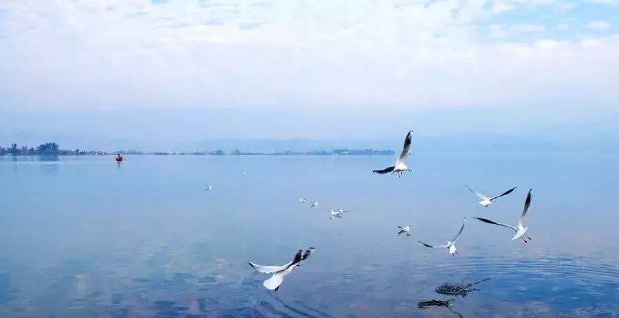 在西昌感受人间烟火,在西昌的美好时光