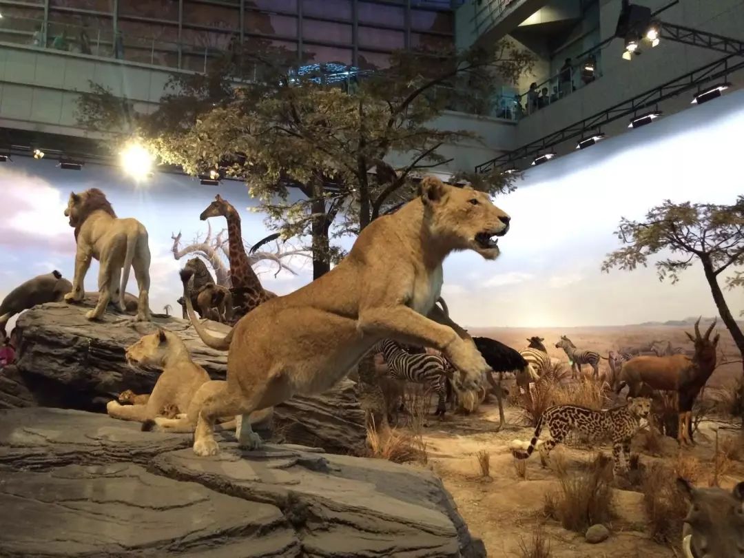 没学历在上海干什么可以挣15000,月薪不足5000的看过来