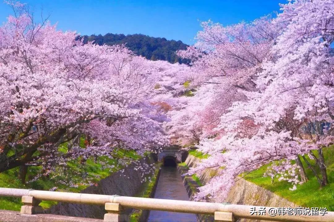 日本留学工作的禁忌,日本留学生活应注意的小常识