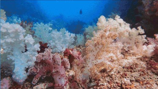 此生必去最美的地方,此生必去的四个海