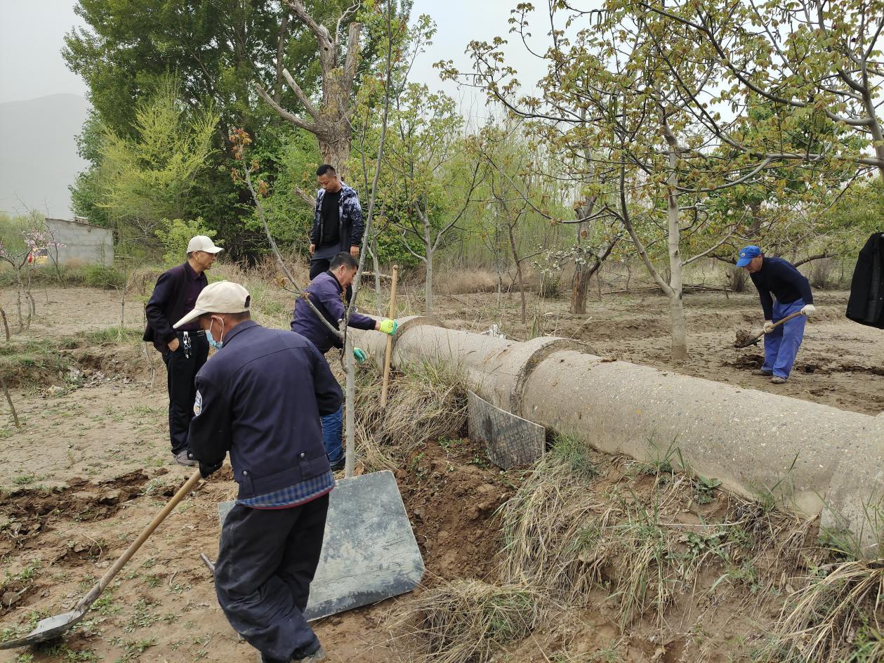 凝心聚力学党史砥砺奋进践初心,学党史凝心聚力助推乡村振兴