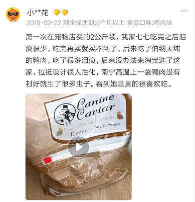 家有狗子,家有狗子视频完整版