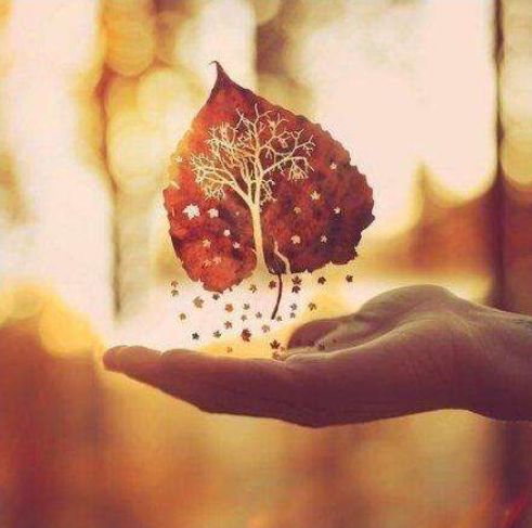 断舍离经典语录好好工作,断舍离简单的生活语录