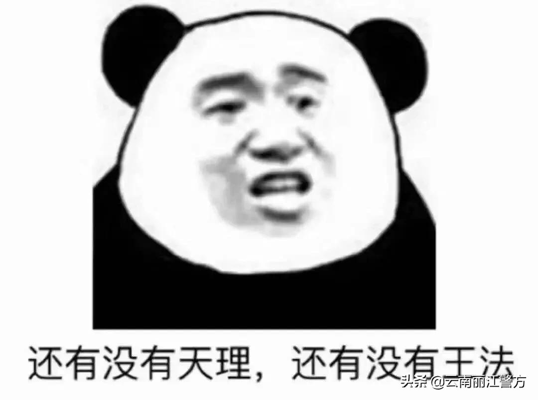 十赌九诈请远离赌博传递正能量,十赌九诈远离赌博健康生活