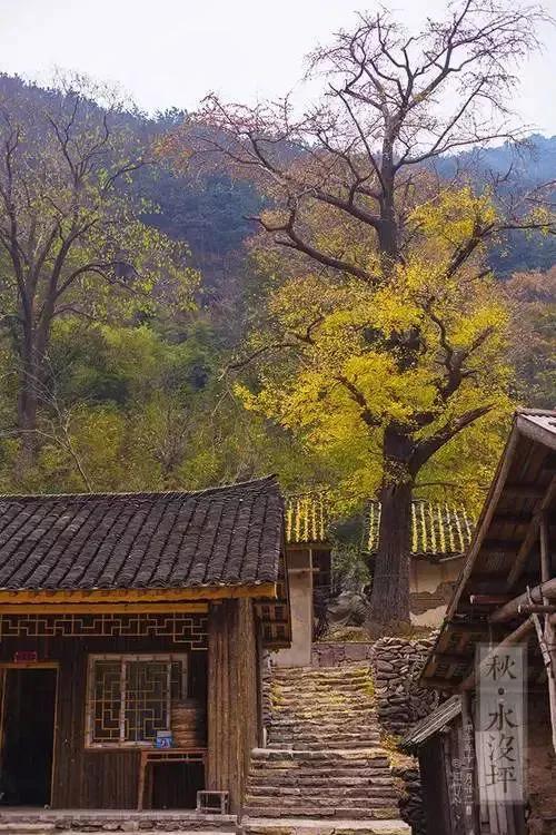 湖北钟祥：中国唯一人口守恒村？生一人死一人，百年未变！