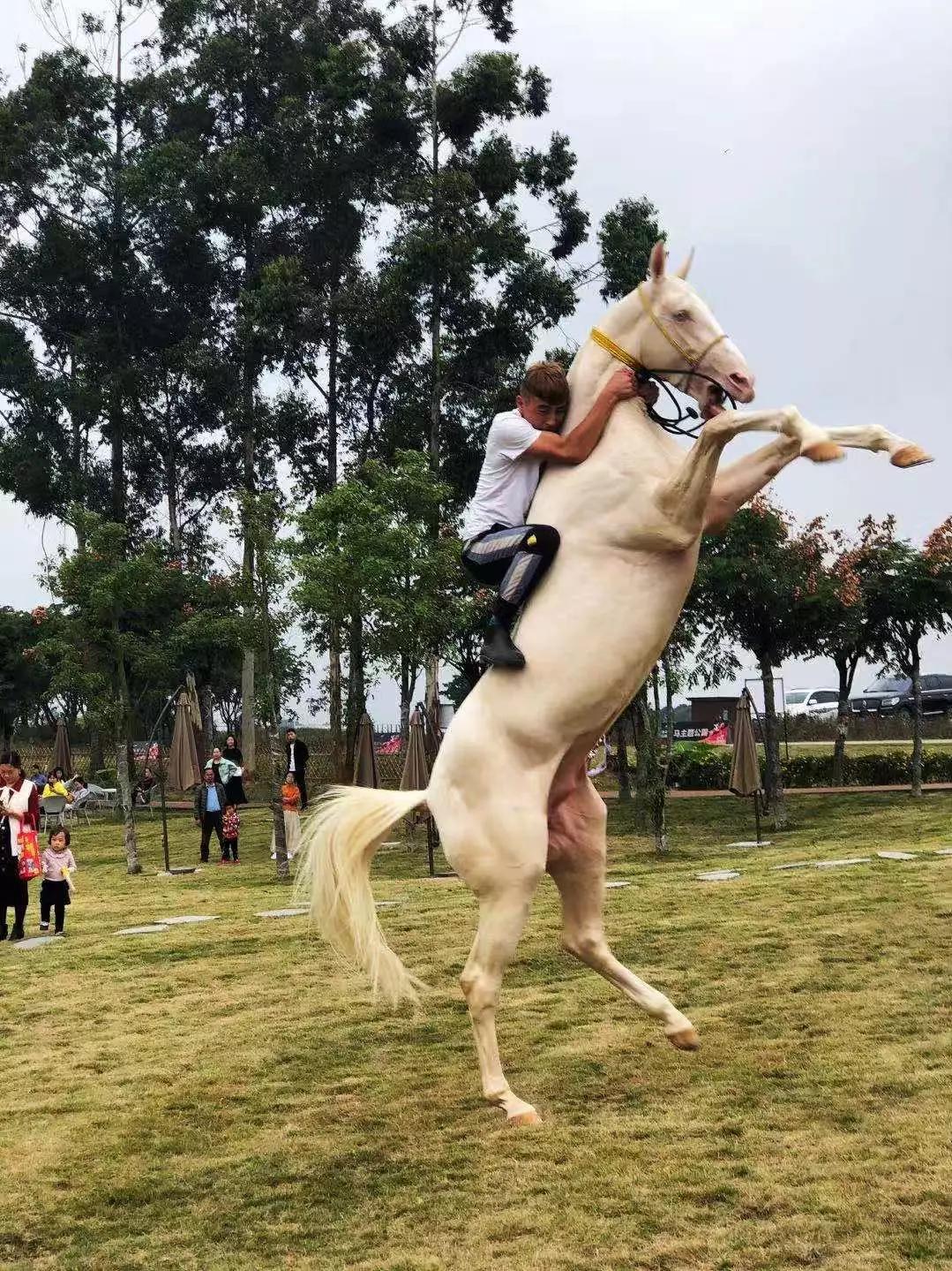 双流空港花田十月份有什么活动,双流空港花田赏花