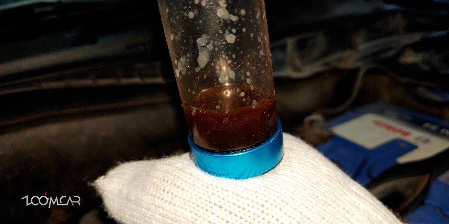 马六之前的马六,马六的成长史