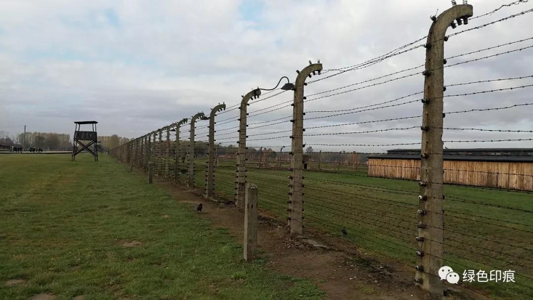 奥斯维辛集中营旅游,奥斯维辛集中营雏菊