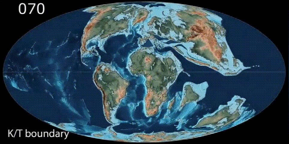 一万年前，史前大象被人类吃到灭绝？研究人员表示这个锅人类不背