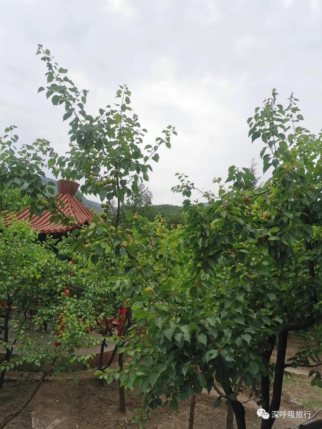 靖西双龙峡网红小火车,京西小九寨二日游