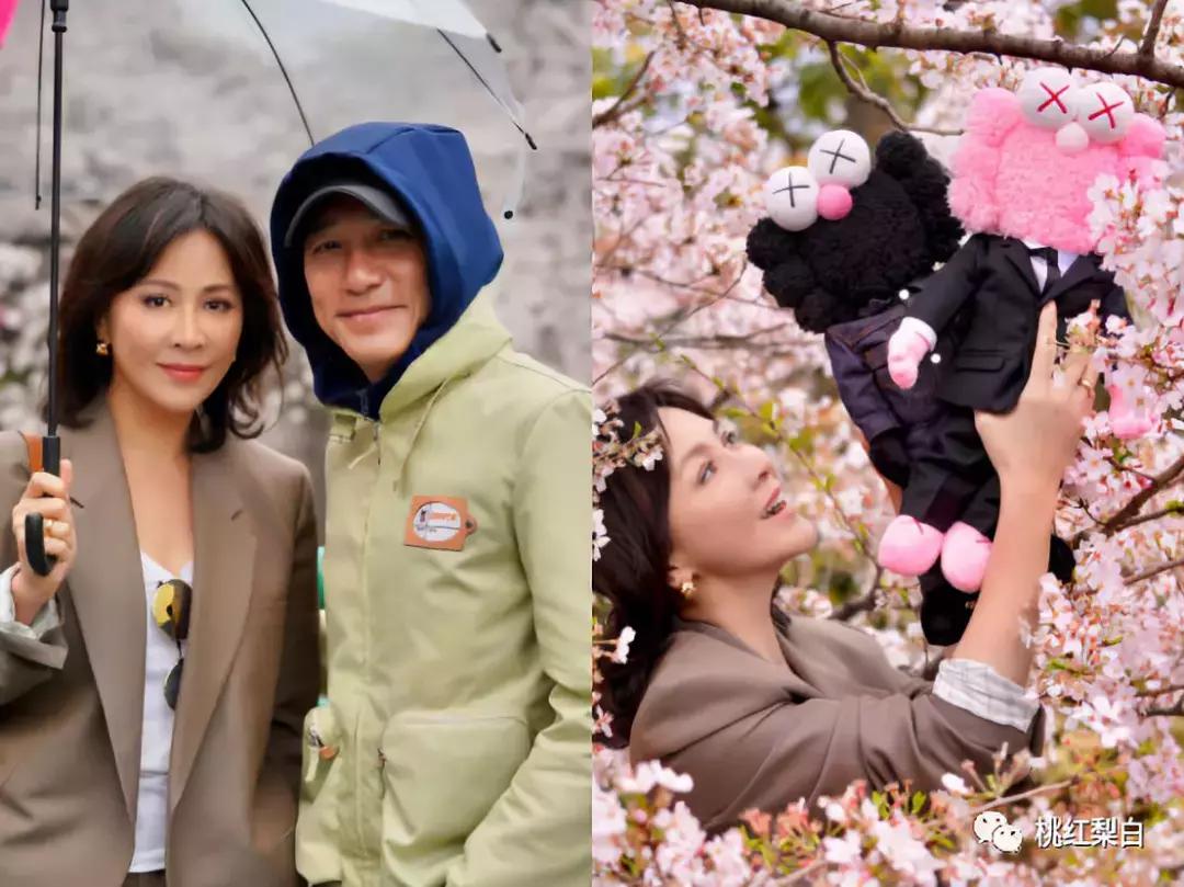 刘嘉玲和天价娃娃合影,刘嘉玲买画