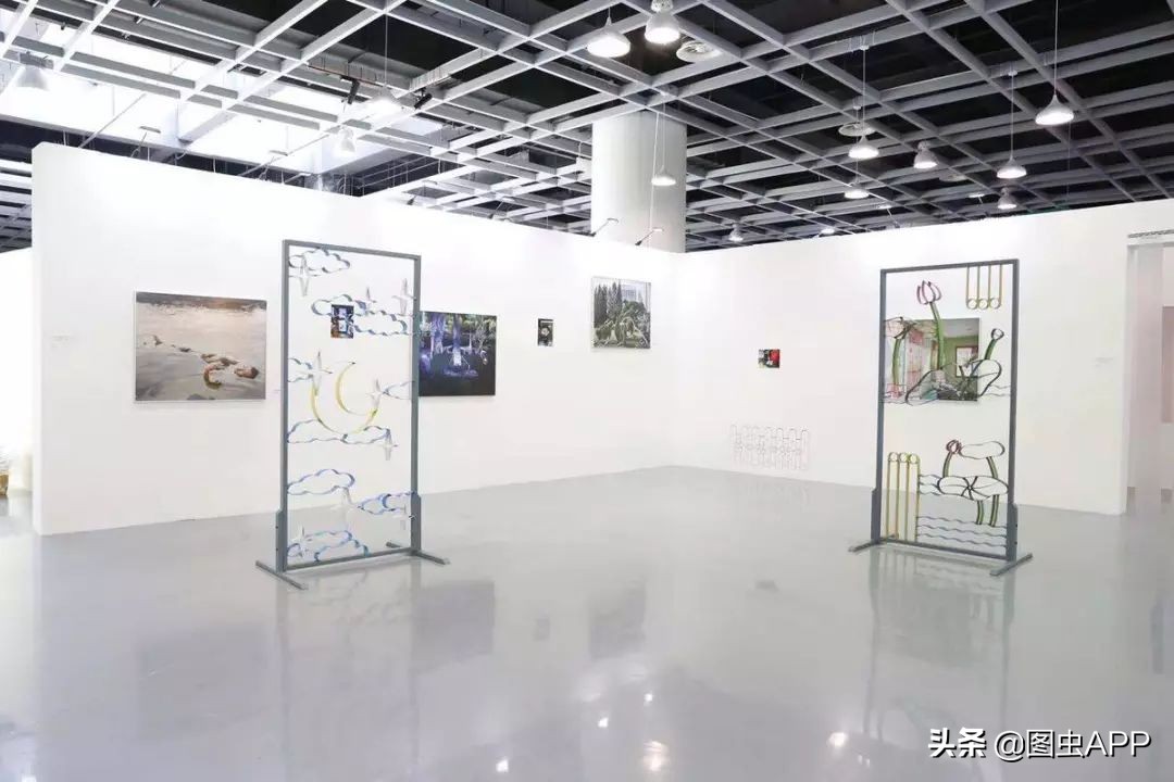 图虫opensealab摄影,图虫看动物世界系列