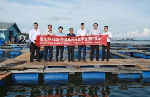 全球有机农业发展现状,有机农业比传统农业更环保吗