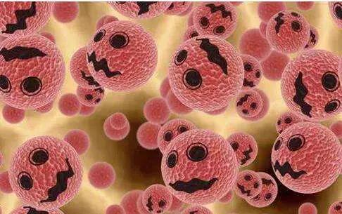 孩子太干净会得病,孩子太干净致癌