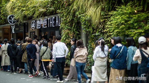 邮轮游选择哪个游轮好,邮轮旅游全攻略公主号