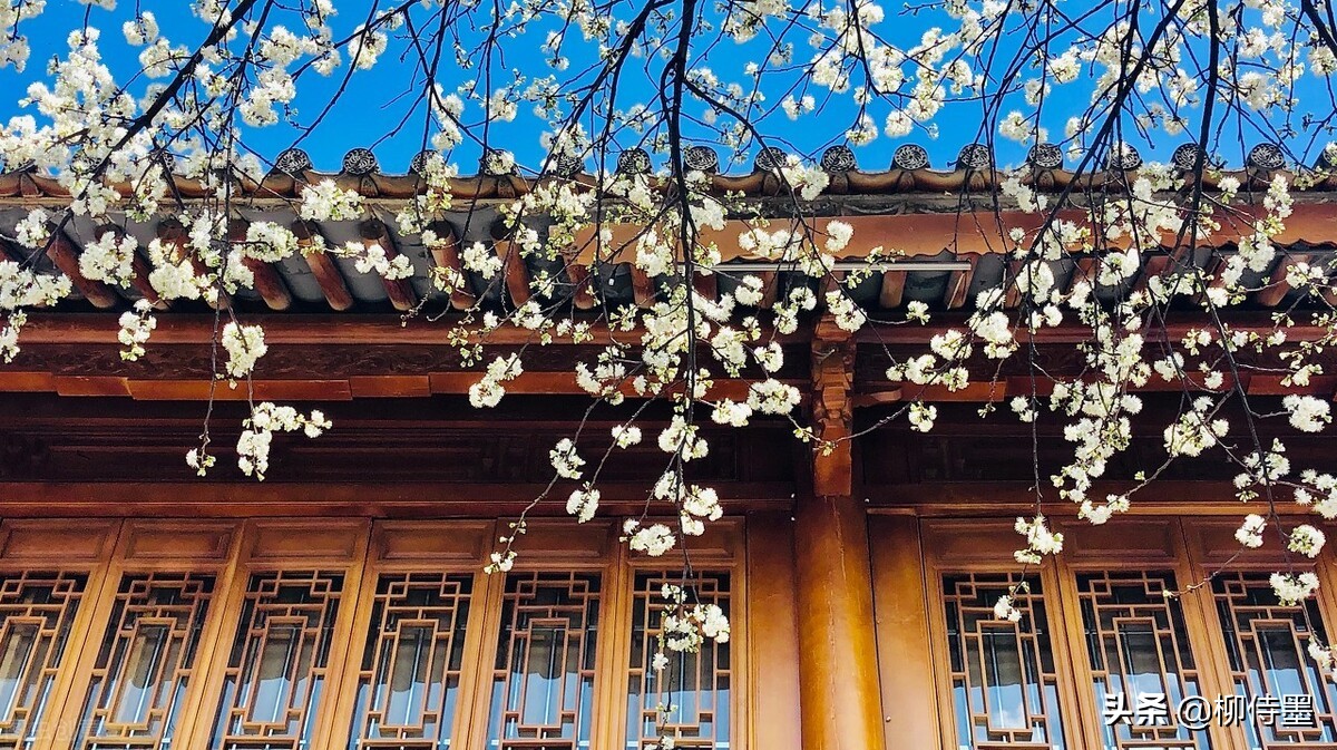 拍摄古建筑摄影技巧,古建筑双人拍照怎么拍出高级感