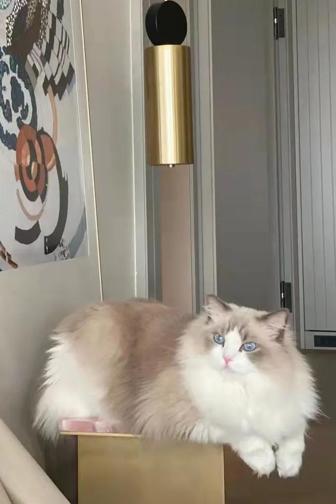 万科御澜道意式极简,万科御澜道欧式风格