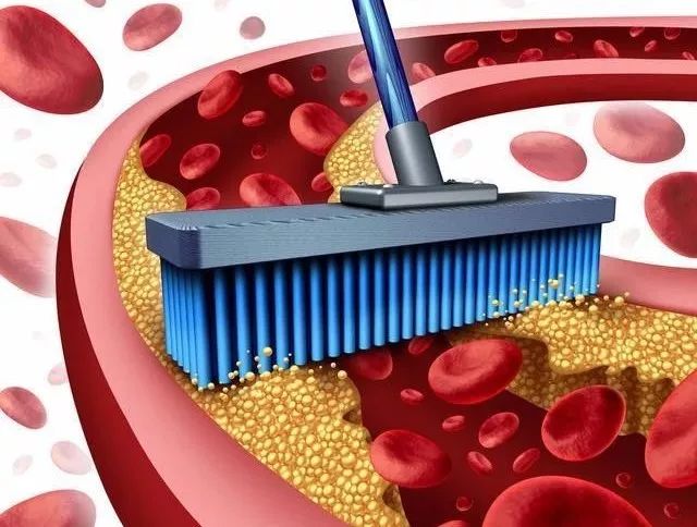 日本净化血液的最好方法 (日本最好的血液净化)