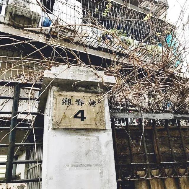 德国夫妇开在长沙的无声面包店,德国夫妇开的面包店