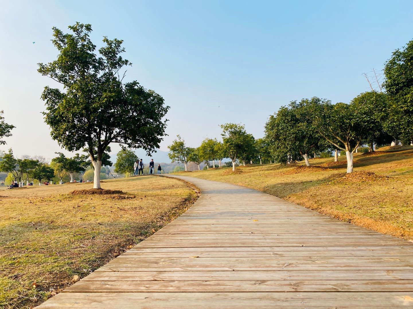 南京可以露营的公园,打卡南京旅游的景点
