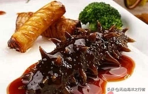 葱烧海参的正宗家常做法,葱烧海参家常做法简单好吃