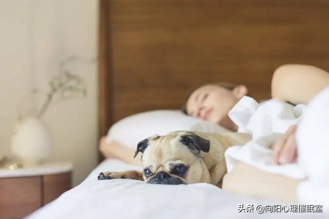 心理治疗的秘诀,心理疗法解决入睡困难