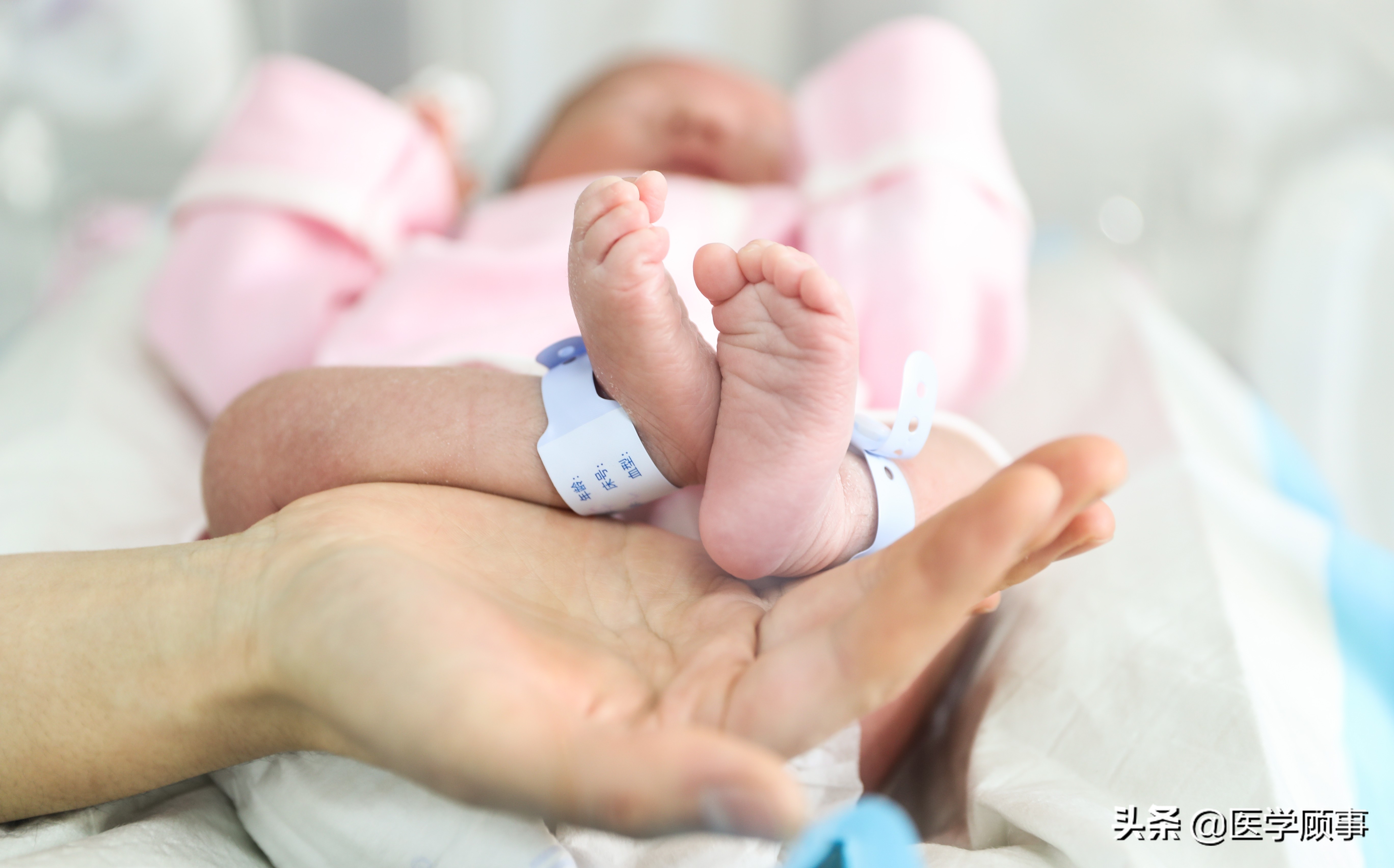 pdca在新生儿窒息复苏中的应用,重症医学科的pdca项目有哪些