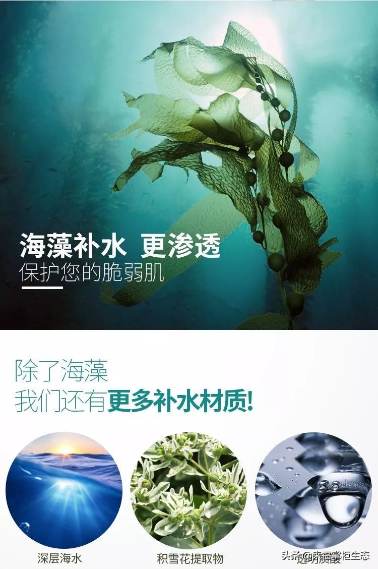 annabella海藻水润面膜,annabella面膜推荐