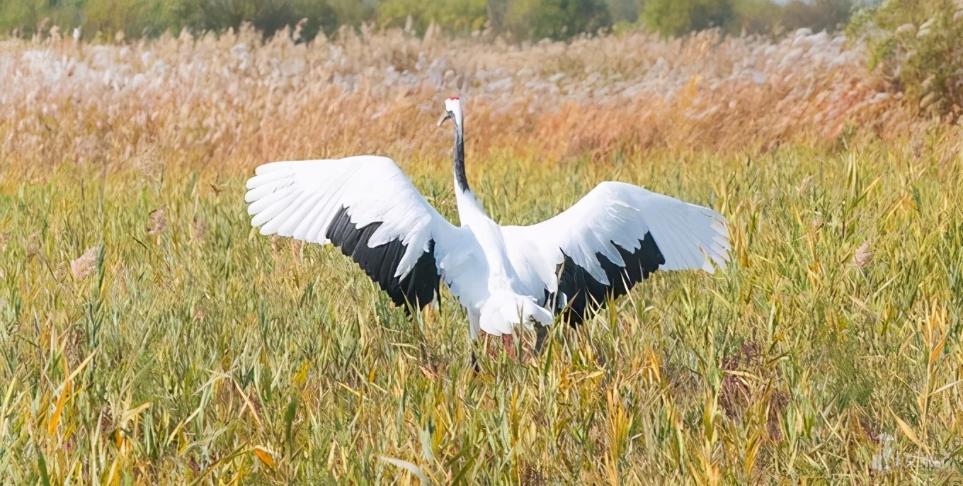 山东这两座小城，集齐了所有令人向往的美景，超级适合自驾！