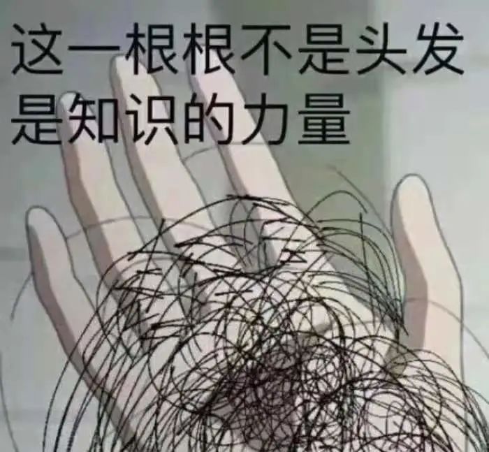 高考志愿填报精算师,高考填报专业精算师