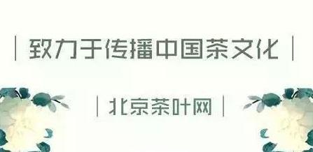 如何更优雅的泡出一杯好茶？不妨亲身感受“湿泡法”与“干泡法”