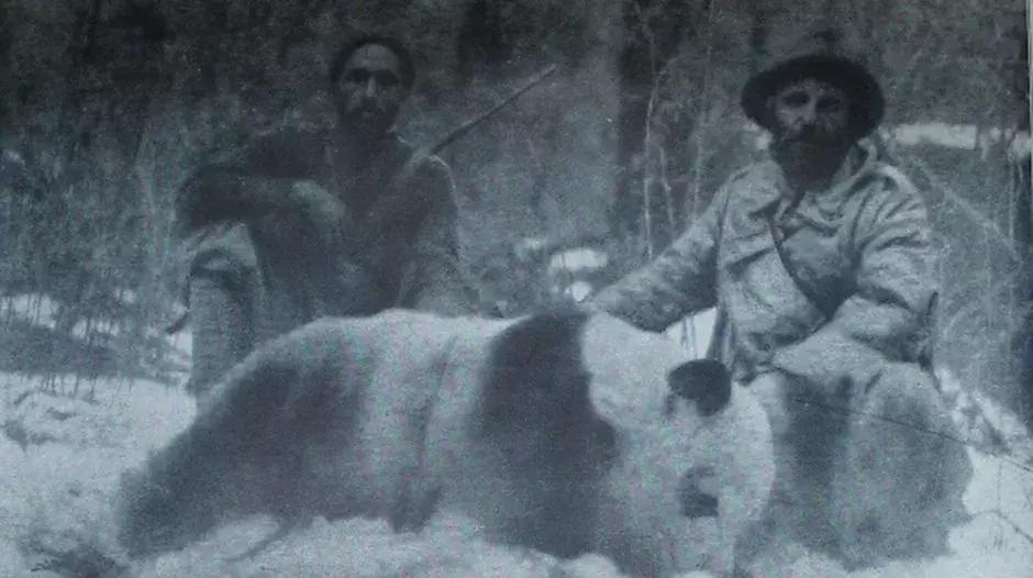 你才可爱你全家都可爱怎么回,你才可爱你全家都可爱出处