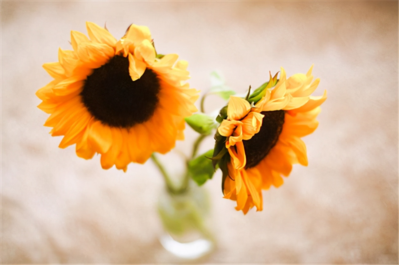 亲身经历才明白:半路夫妻的苦,旁人是很难体会的