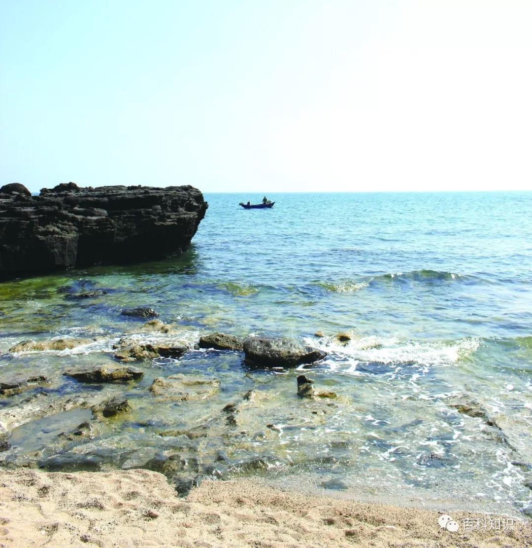 北海四季如春,广西北海是四季常青吗