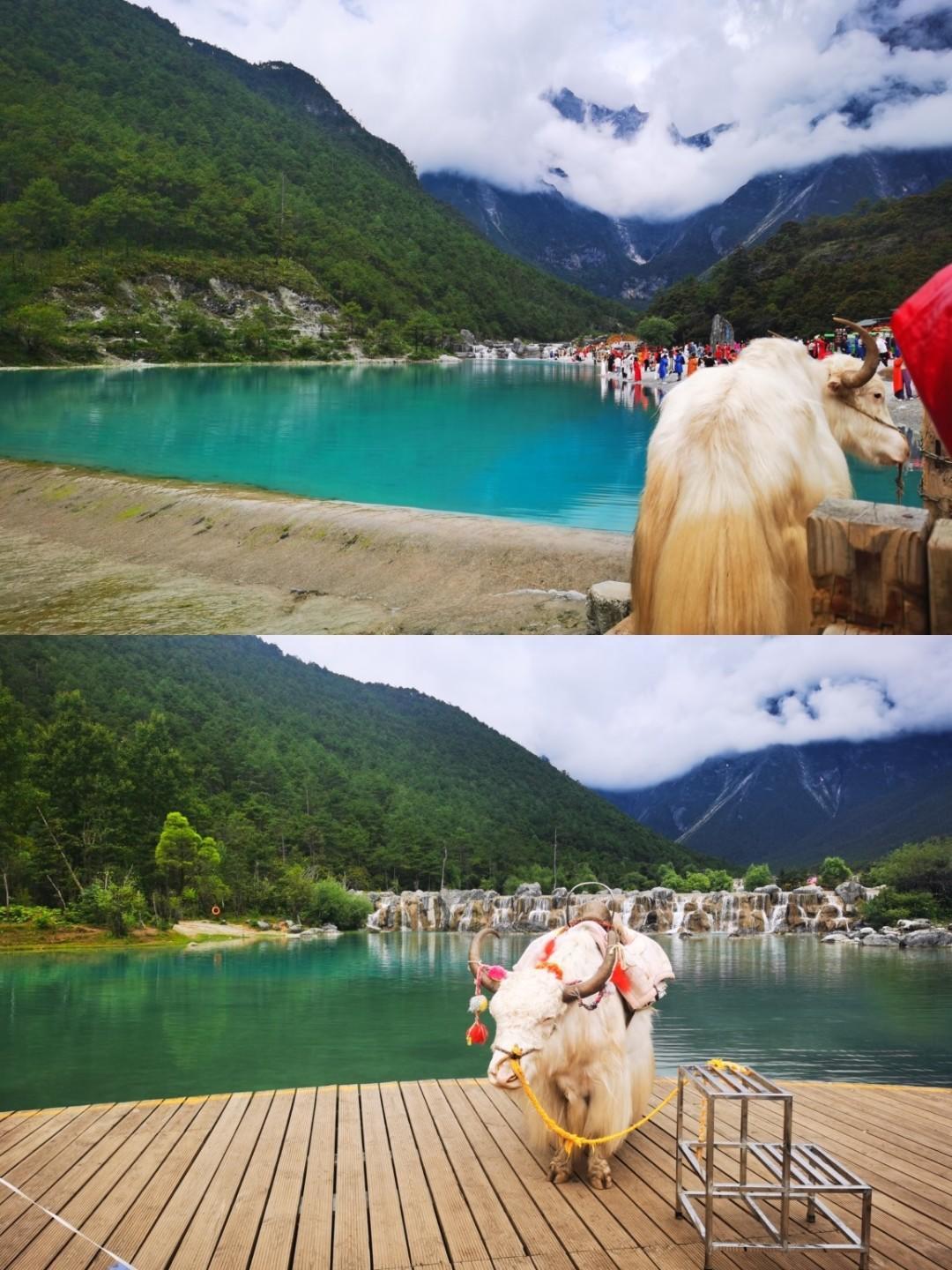 五一云南旅游攻略五日游,五一去云南旅游推荐去哪里玩合适