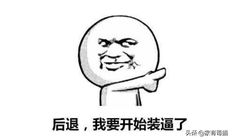 猫粮为何叫毒粮,猫粮和米饭哪个安全