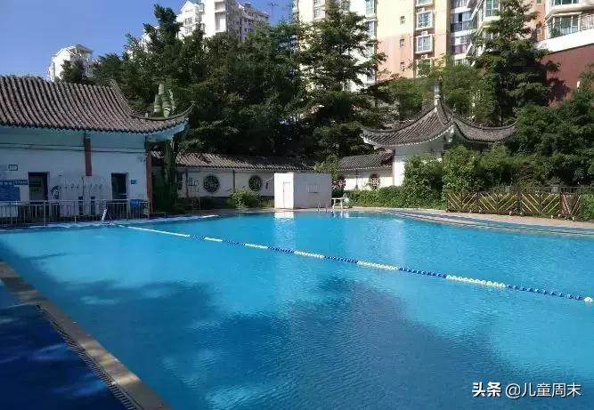 深圳游泳教练培训学校有哪些,深圳成人游泳培训班哪里好