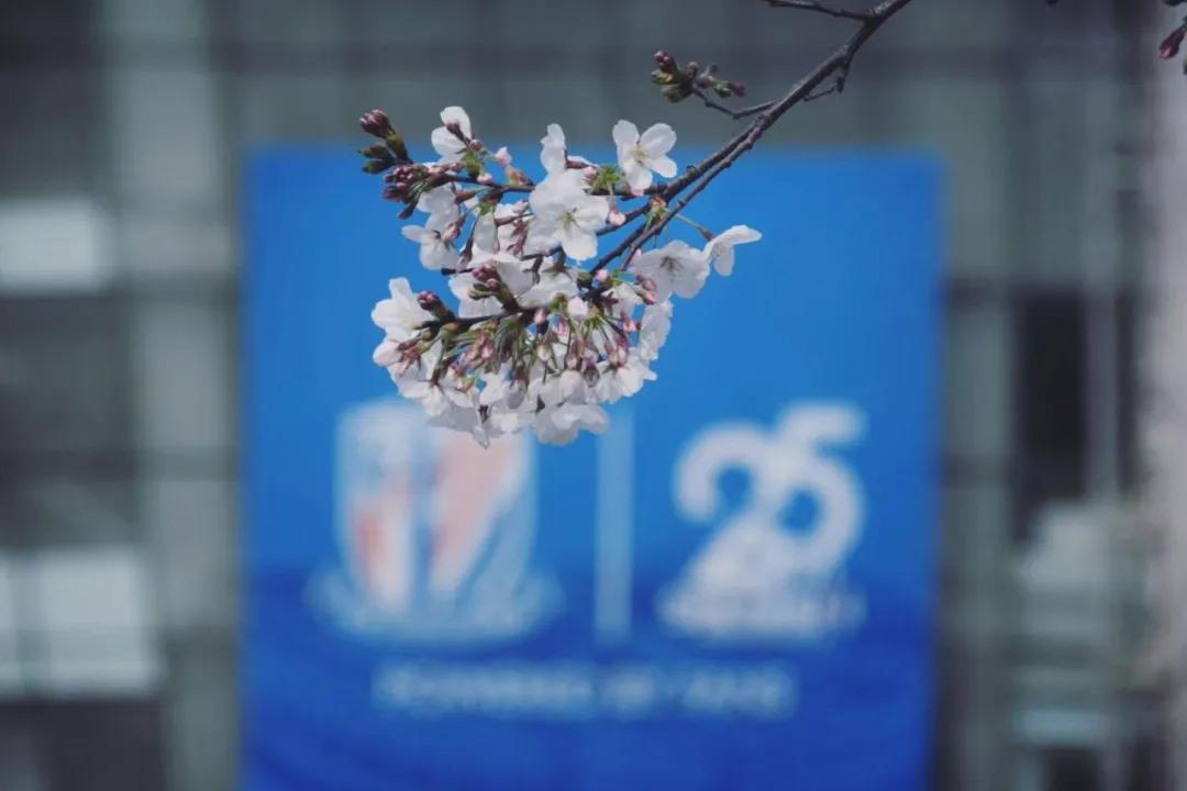 美呆！恒大“肉莲”新球场动工；感伦！上港工人球迷参与球场建设