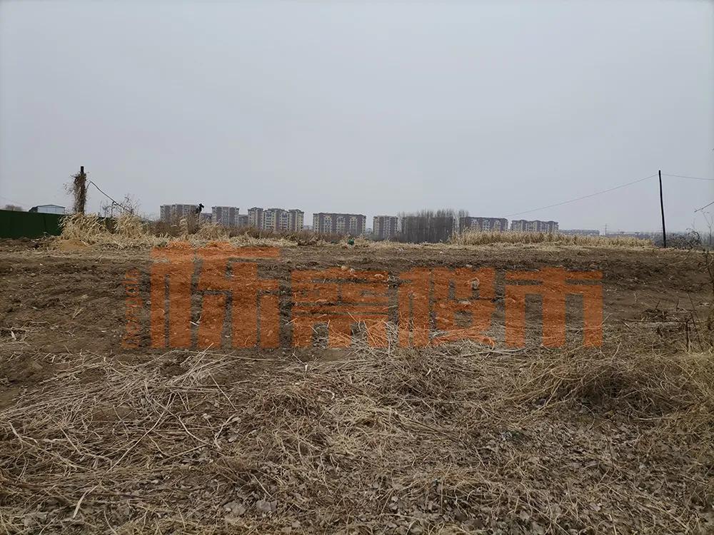 浑南最新学校规划,浑南最新规划学校