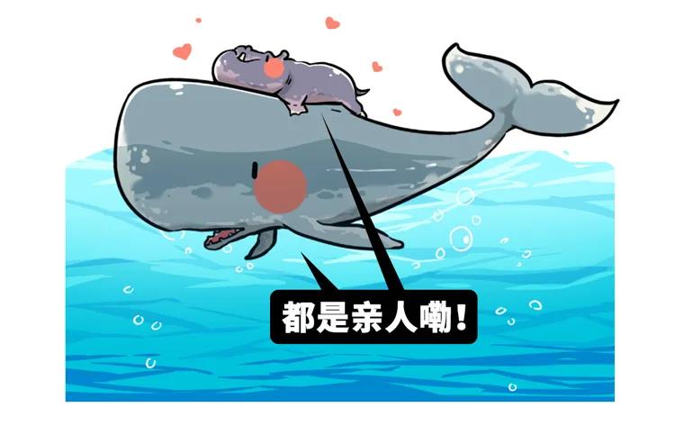 为什么要捕杀鲸鱼?日本人:不是为了吃,这是传统文化