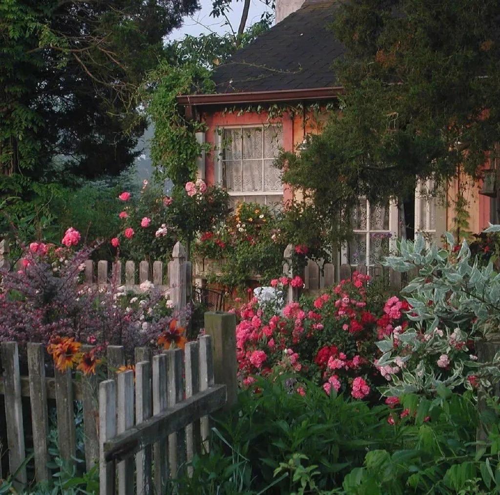 理想之家全集免费观看,理想之家智能家居体验馆