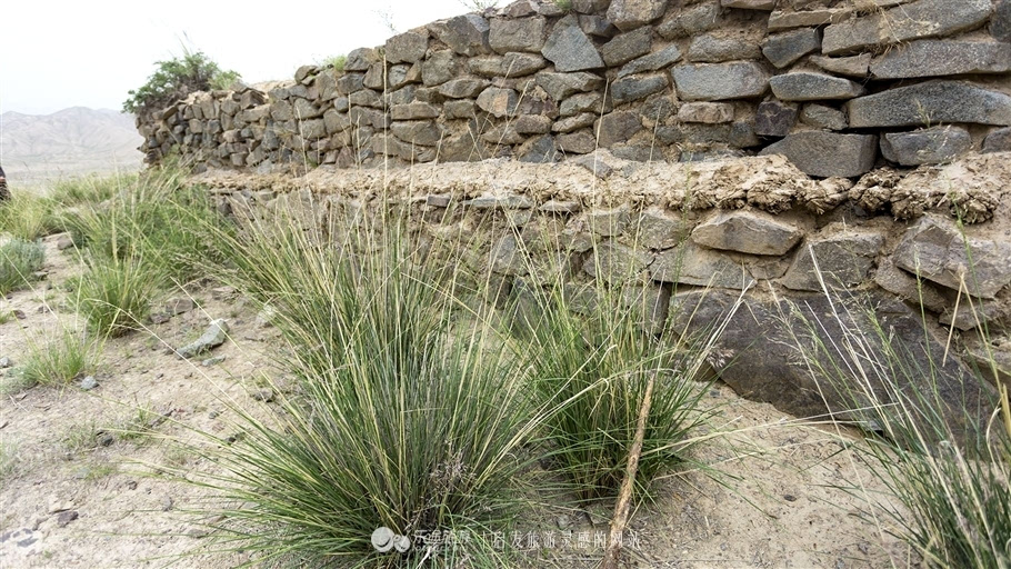 历史上真实的九层妖塔考古,九层妖塔大墓挖掘