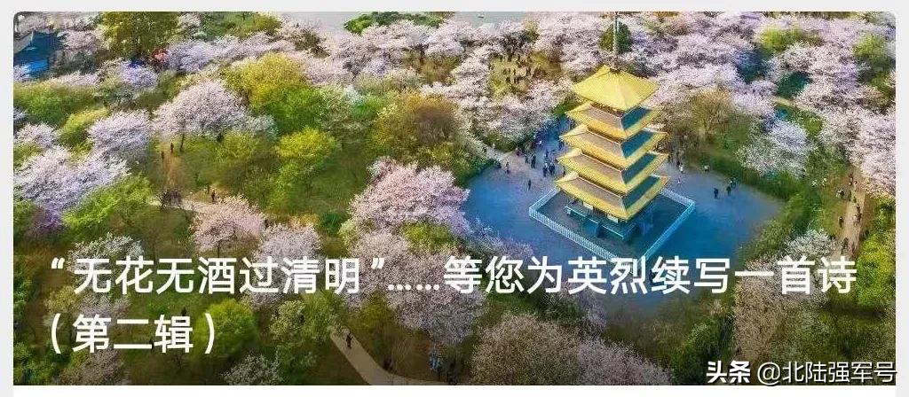 无花无酒过清明的下一句,无花无酒过清明