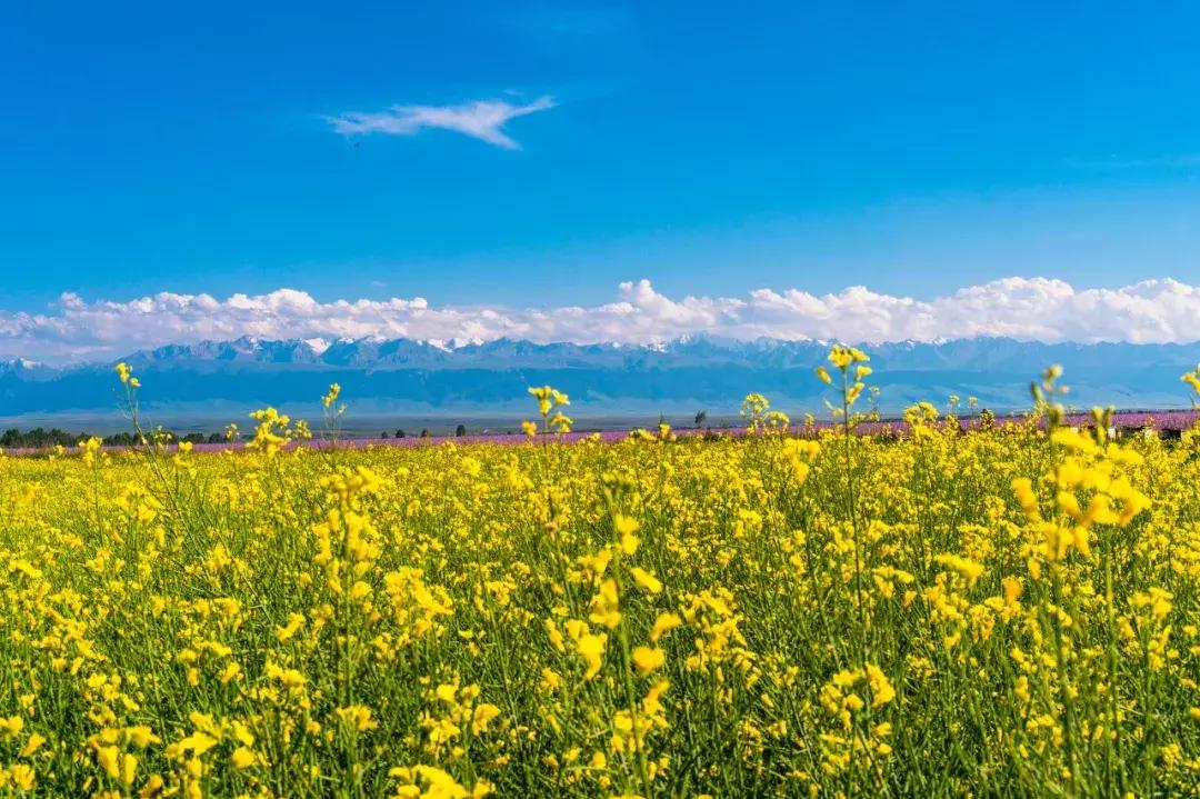 新疆的天堂在哪,新疆人间天堂在哪