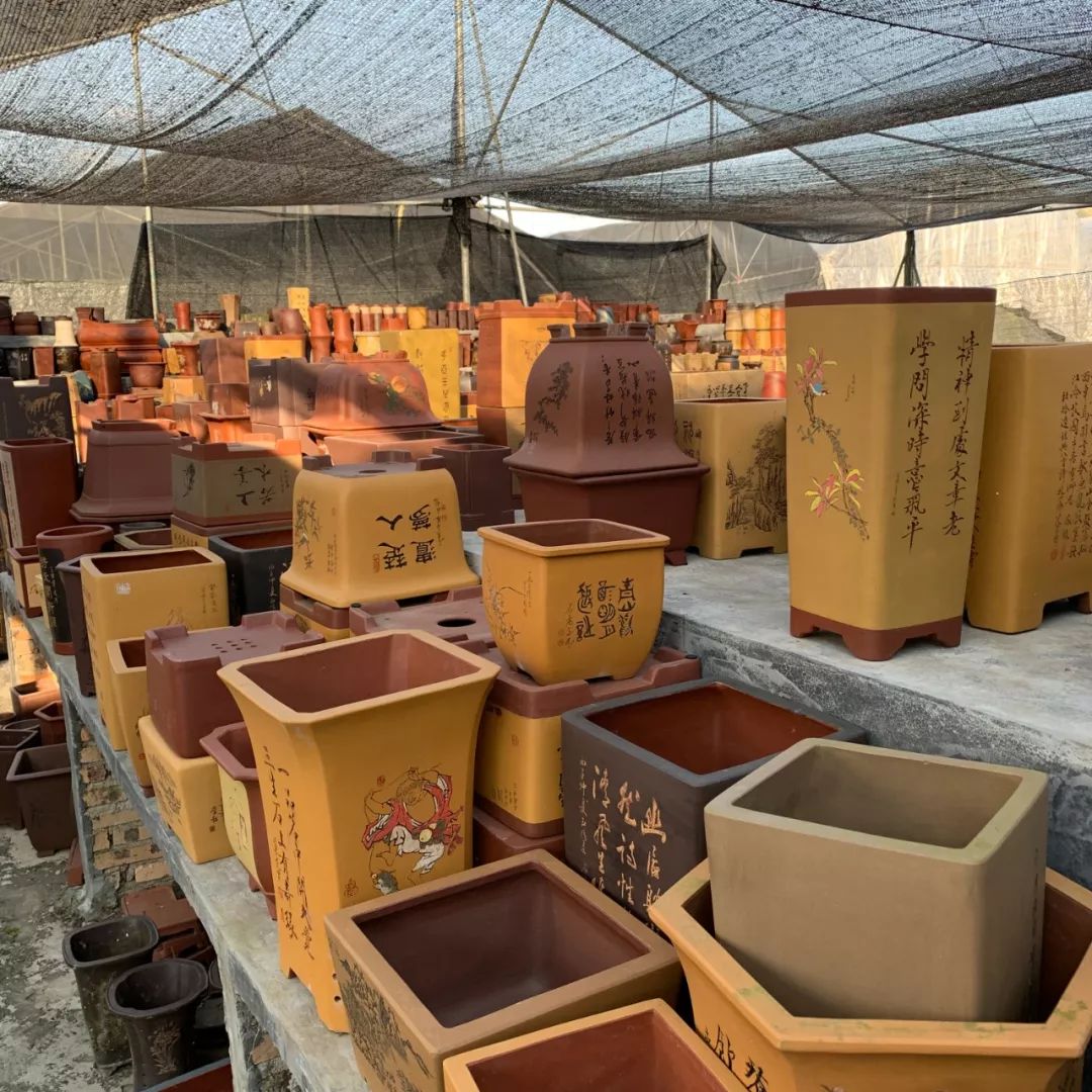 韶关最美乡村游,广东韶关乡村大自然的风景