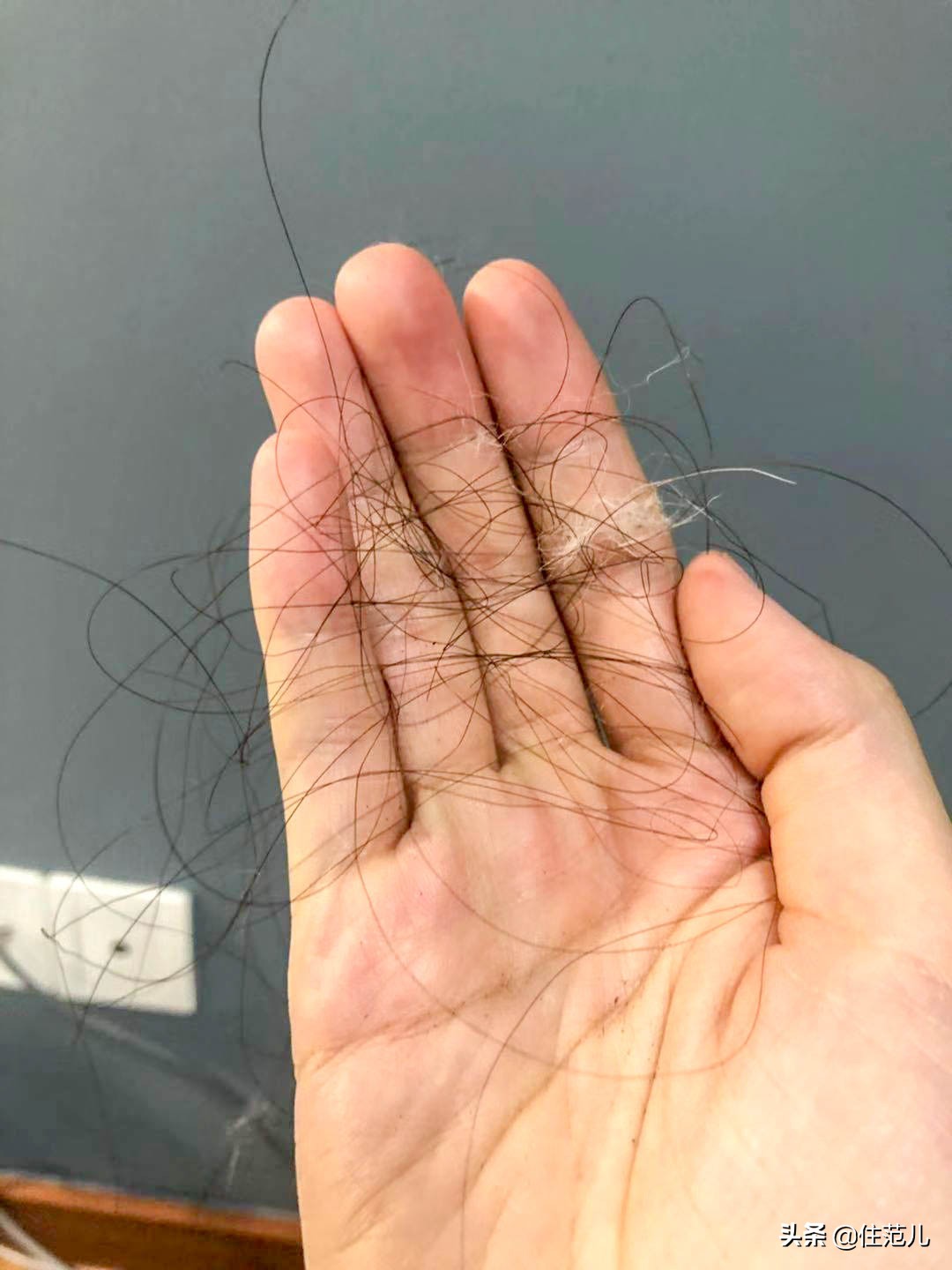 网红爆款戴森吹风机,戴森真的有用吗