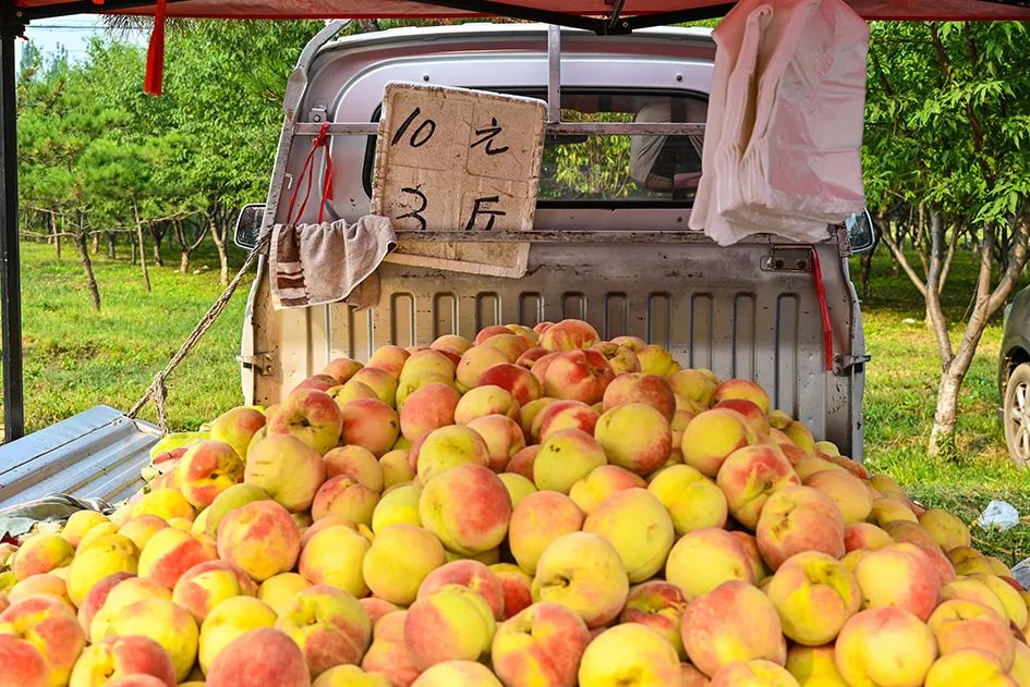 满满的烟火气逛大集真好玩,最值得逛的大集